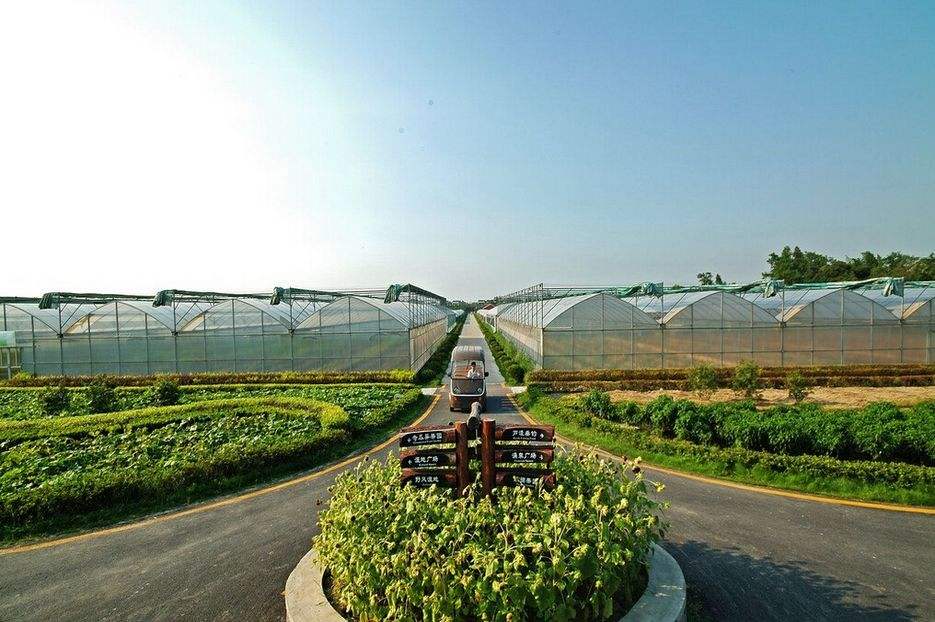 品牌策劃 | 觀光休閑農(nóng)業(yè)旅游項目策劃，告訴你如何經(jīng)營農(nóng)場！