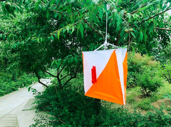 飛鳥創(chuàng)意拓展團建項目組獨家承辦北京市朝陽區(qū)人民法院拓展團建活動！