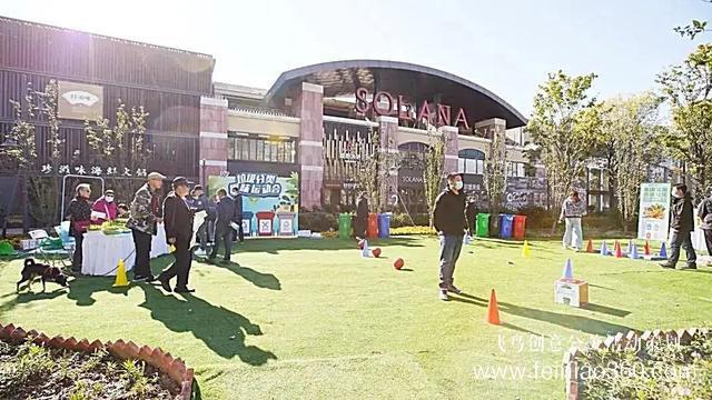 社區(qū)活動(dòng)|朝陽483個(gè)社區(qū)舉辦鄰里節(jié)，活動(dòng)各式各樣、精彩紛呈