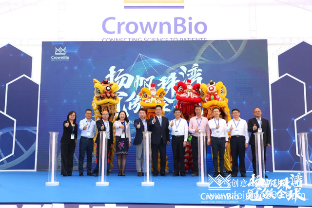 公司開(kāi)業(yè)慶典策劃一場(chǎng)多少錢？飛鳥創(chuàng)意開(kāi)業(yè)活動(dòng)策劃15210600582